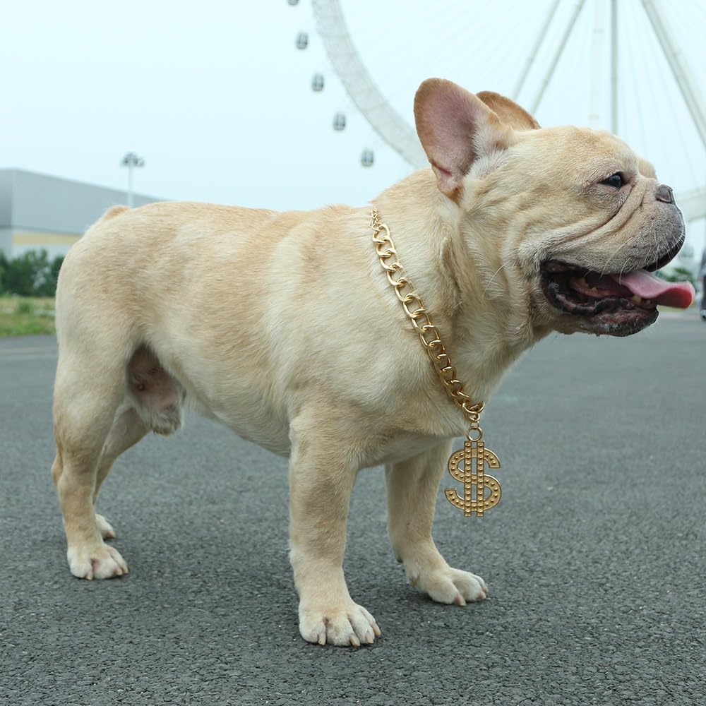Cute Adjustable Pet Gold Chain with Dollar Pendant