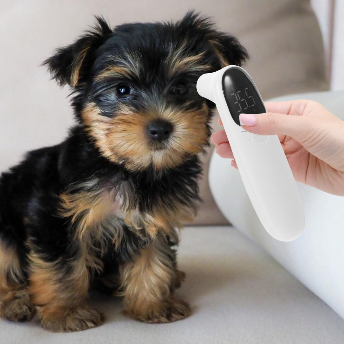 Abaodam Cat and Dog Ear Thermometer