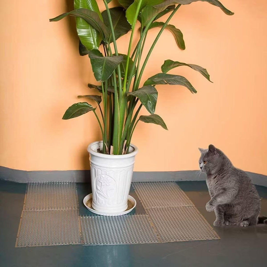 10 Pack Cat Repellent Mats for Outdoor Indoor Use