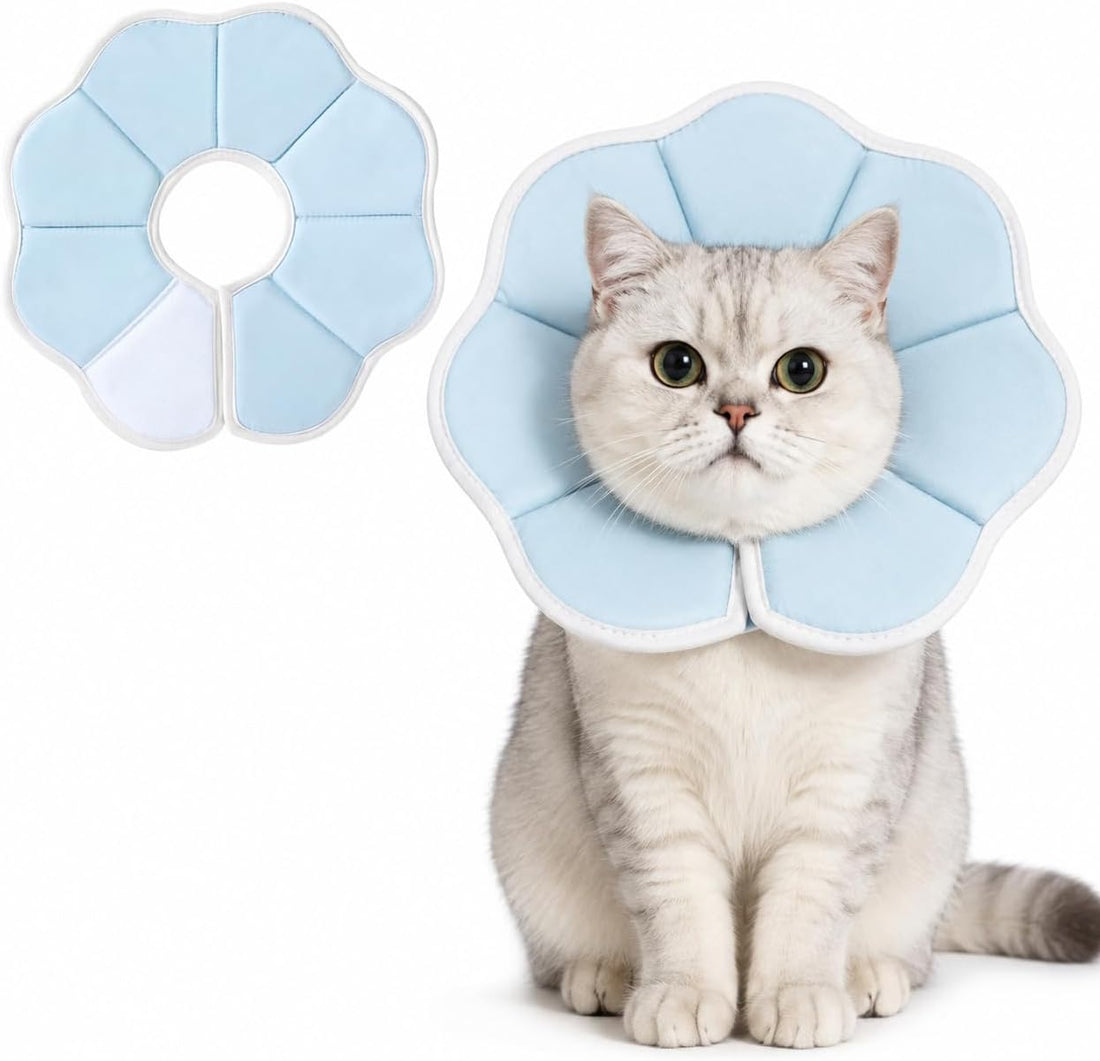 Avont Cat Cone M Adjustable Soft E-Collar