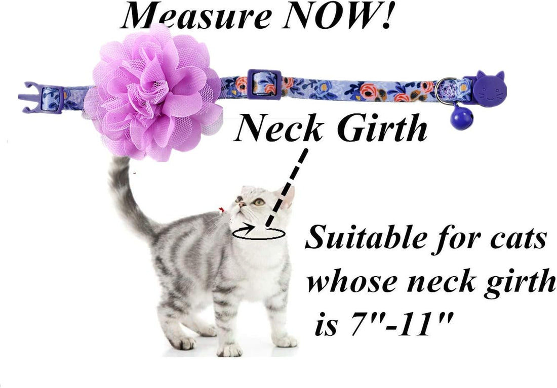 BoomBone Floral Cat Collar with Removable Purple Flower