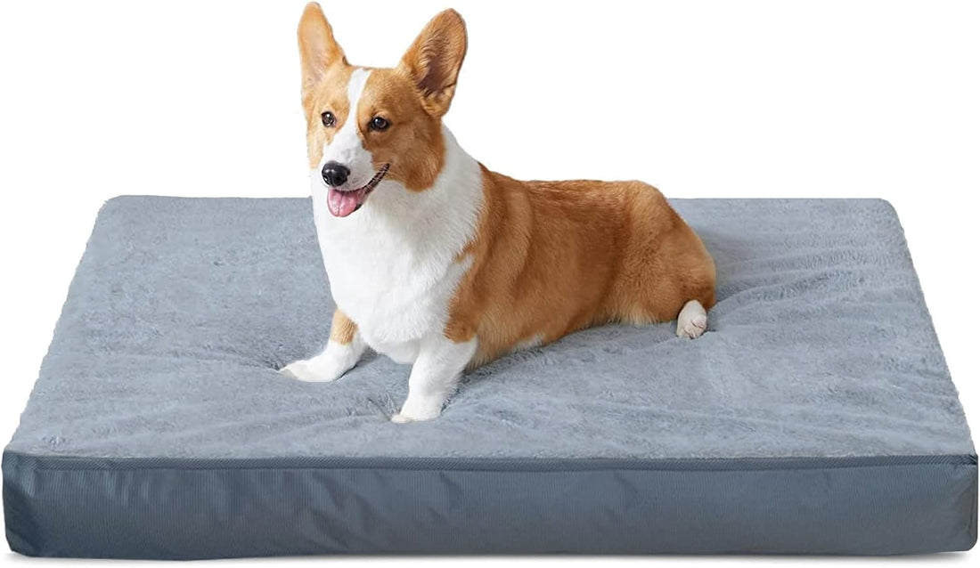 Dalema Dog Bed Cover 44L x 32W x 4H Inch,Heavy Duty Durable