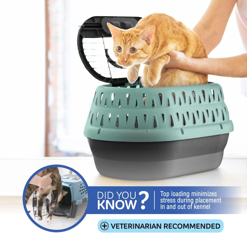 Petmate Plastic Pet Kennel for Cats & Small Dogs