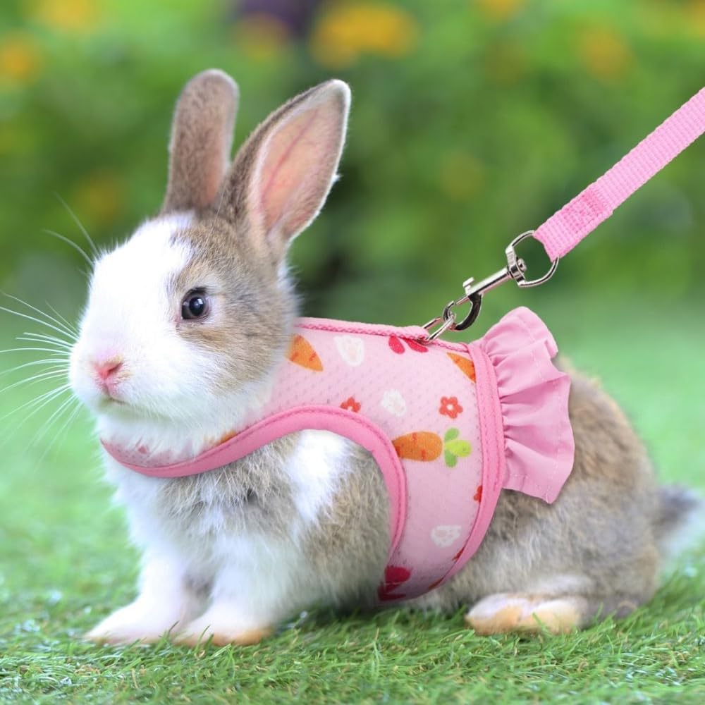 Guinea Pig Harness & Leash Set