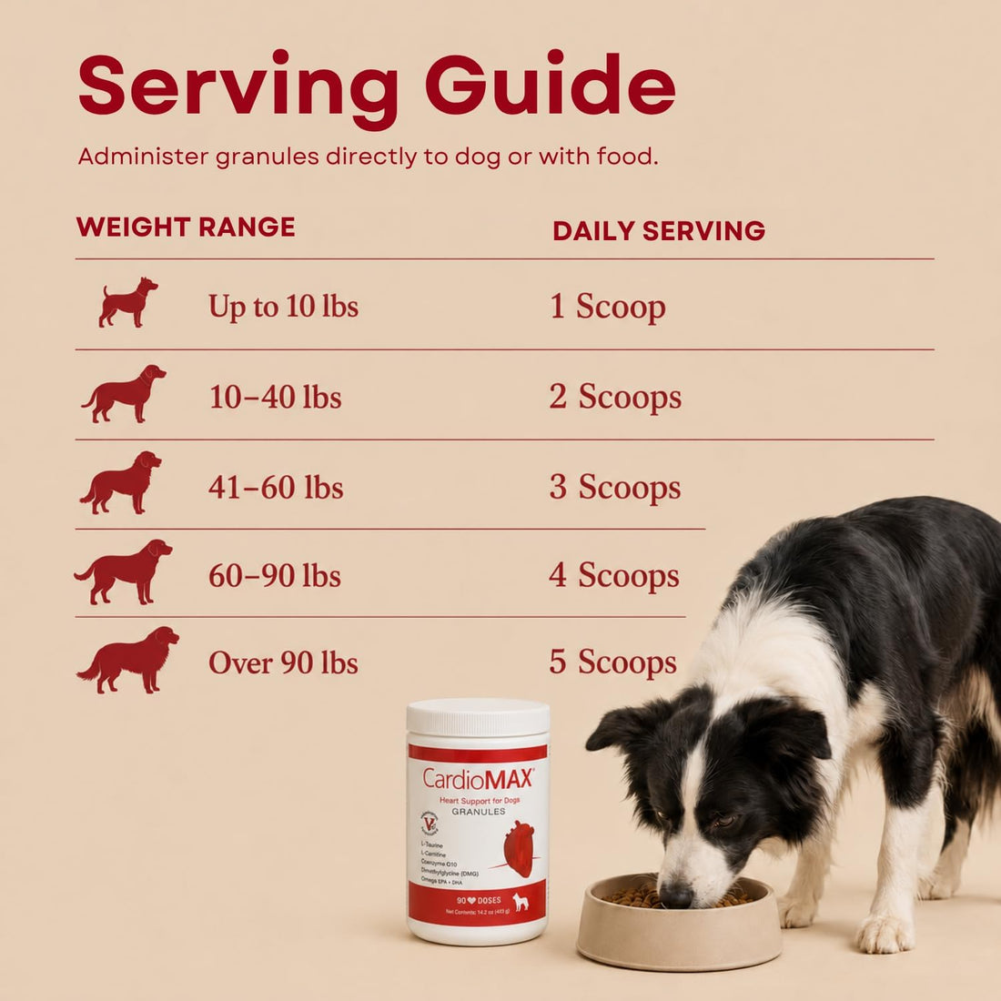 Heart Support Granules for Dogs – Vet-Formulated