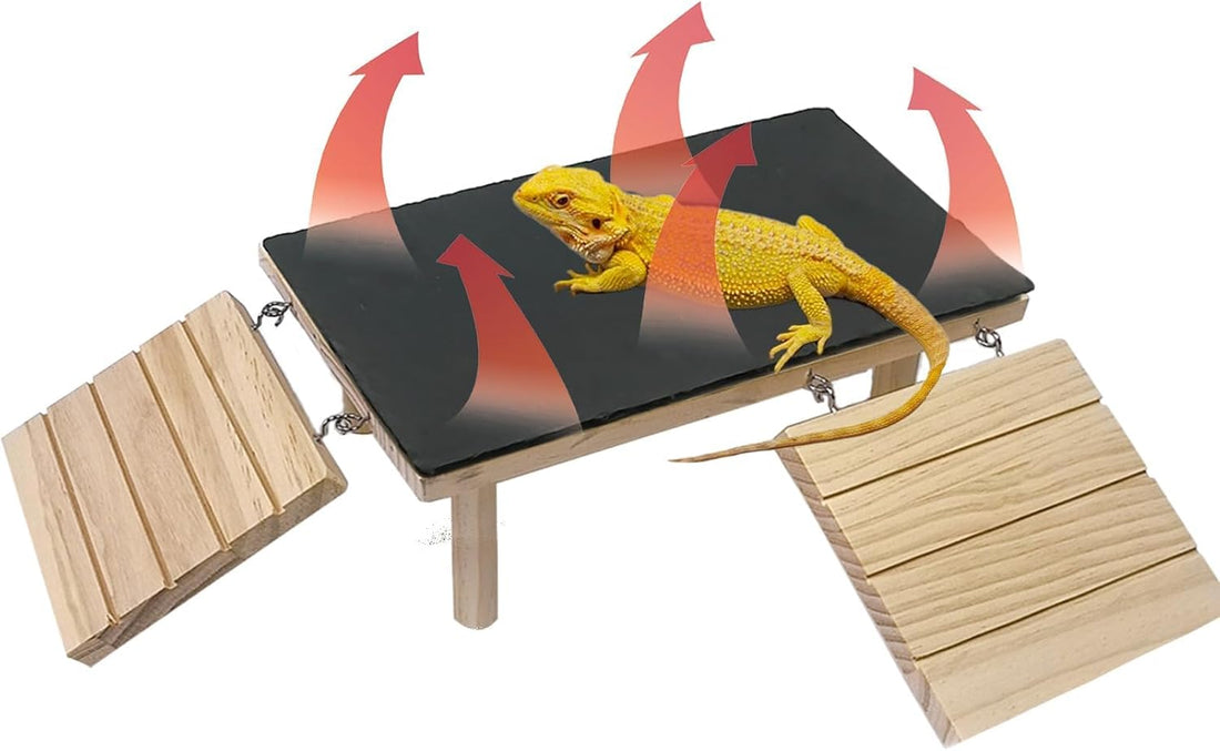 Reptile Bearded Dragon Basking Platform Rock with Climbing Ramp,L