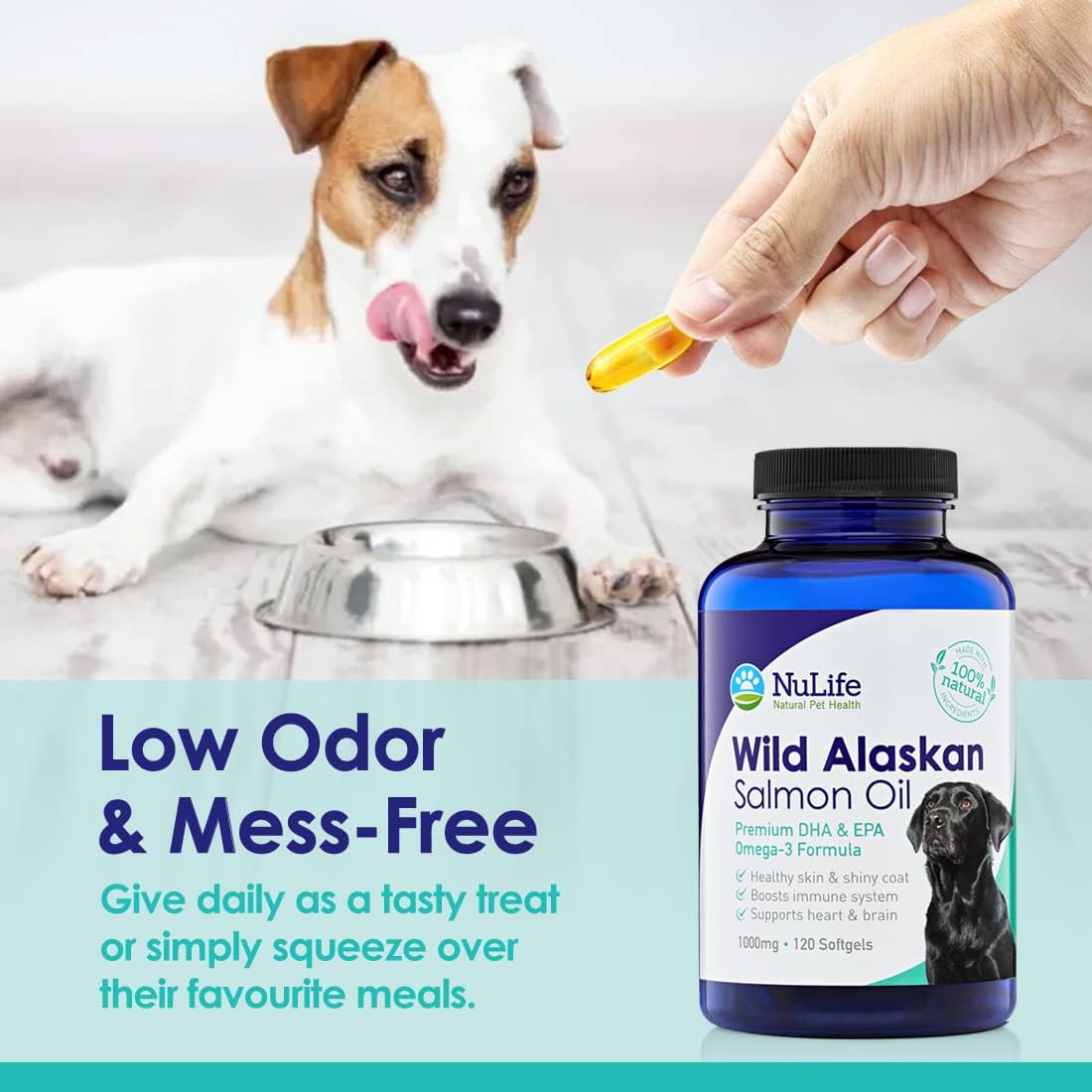 Pure Wild Alaskan Salmon Oil for Dogs