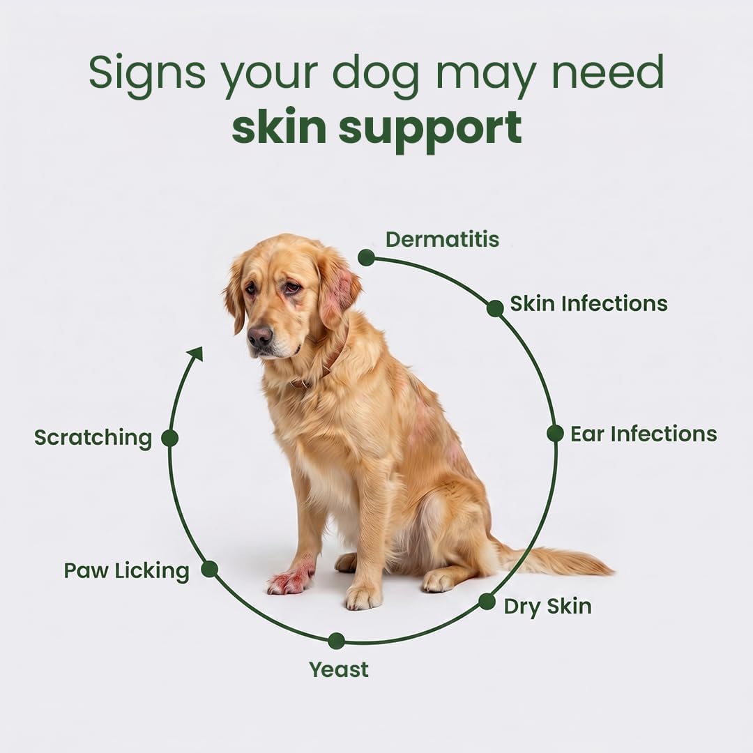 DermaPrex Dog Allergy Chews – Anti Itch for Dogs | Borage Oil, Omega 3