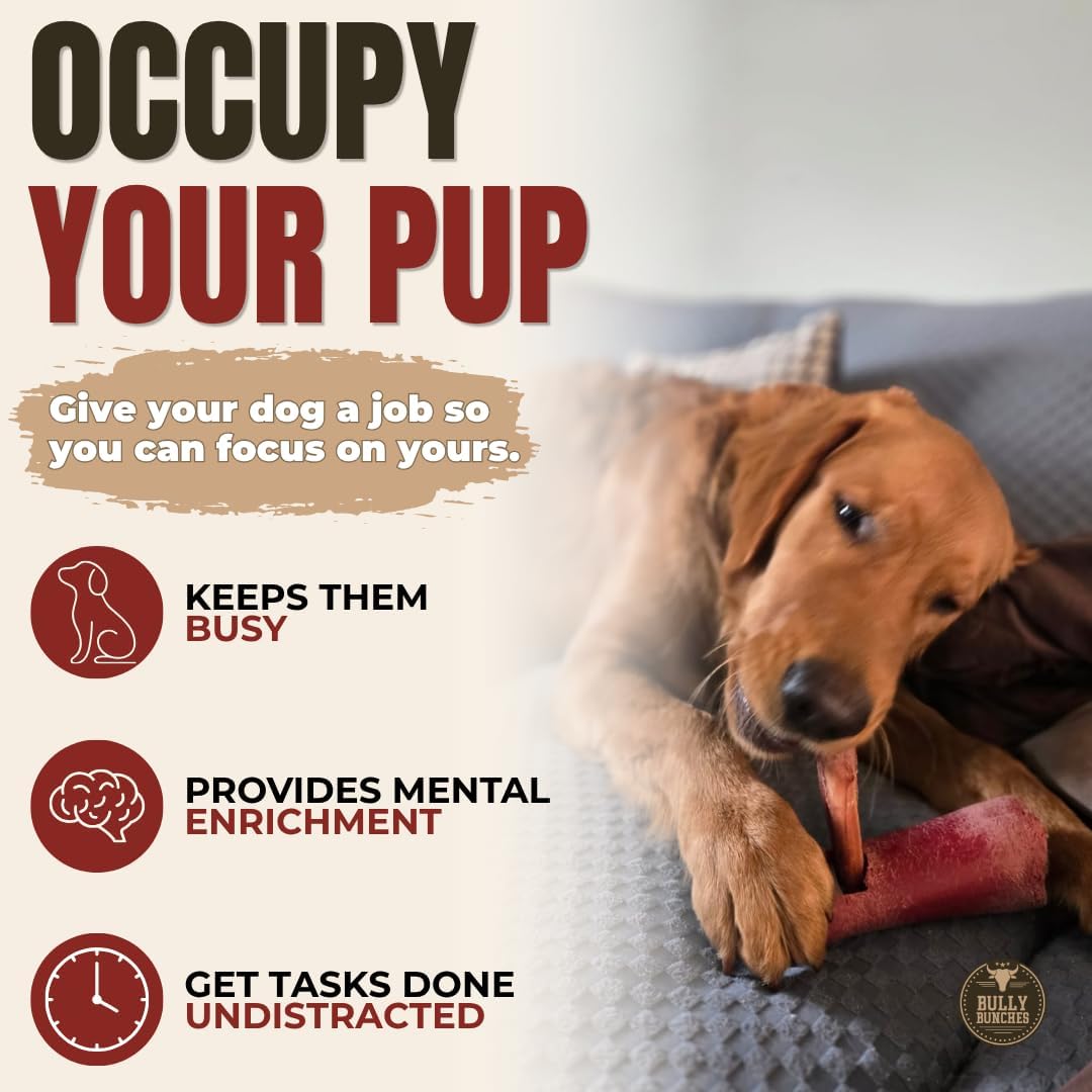 Bully Bunches Premium Odor-Free Bully Sticks for Medium & Large Dogs