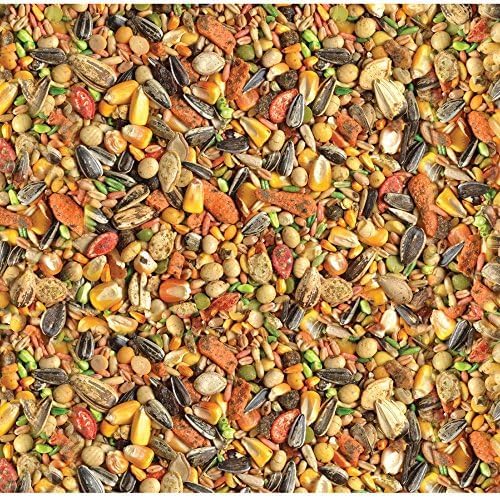 Wild Harvest Advanced Nutrition Parrot Food, 8 lbs