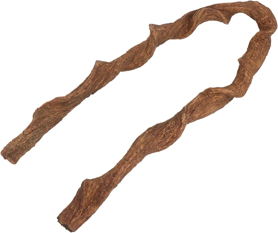 AQUA KT Reptile Twist Climber Vine Bendable Branch for Lizard Snake