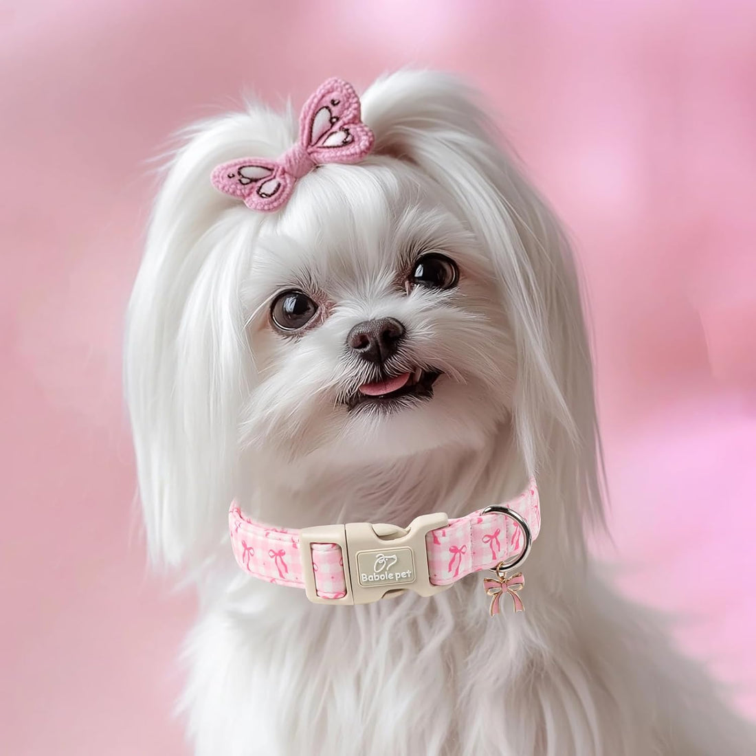 Babole Pet Girl Dog Collar for Puppy Small Dogs