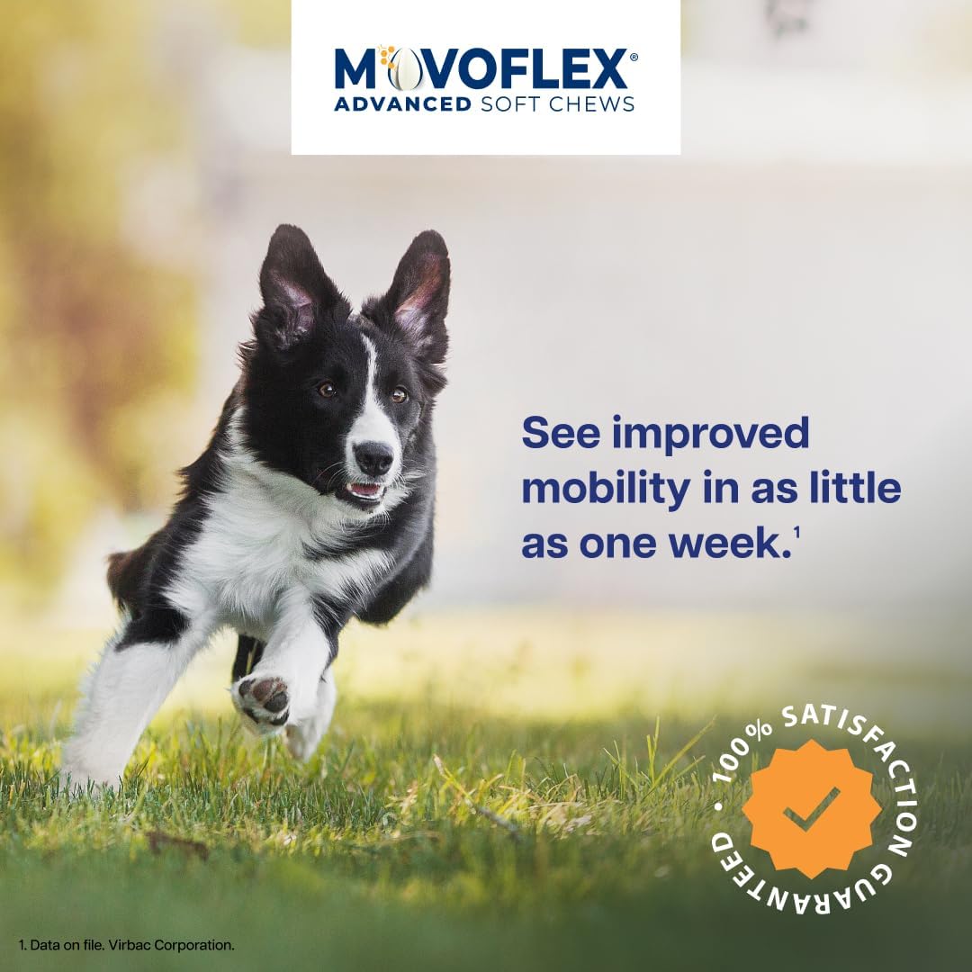 MOVOFLEX Advanced Soft Chews Hip and Joint Support Supplement