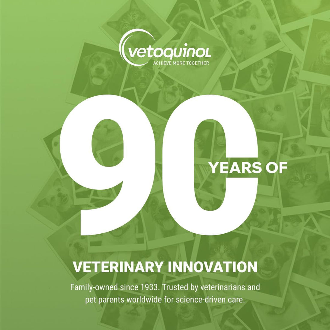 Vetoquinol Ear Cleansing Solution for Dogs and Cats - 16oz