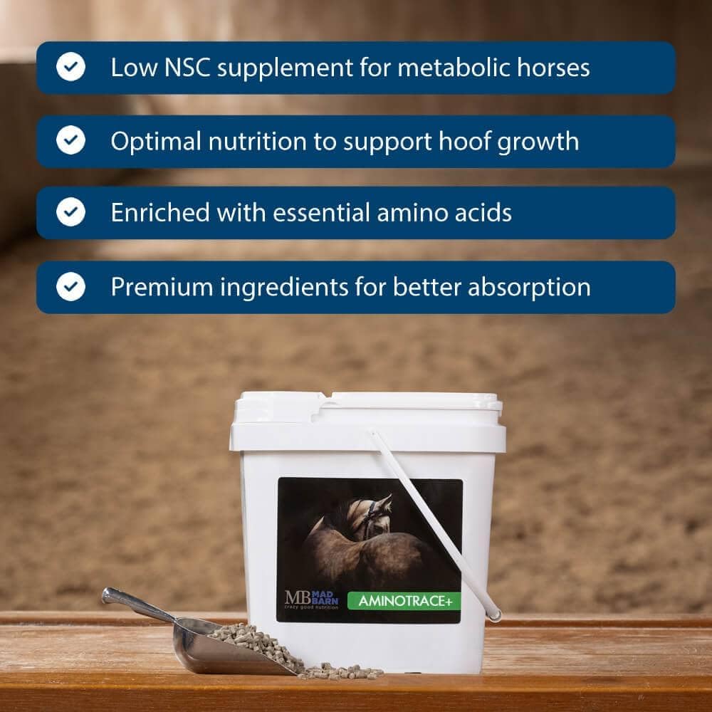 Mad Barn - AnimoTrace+ 5kg | Supports Hoof Growth