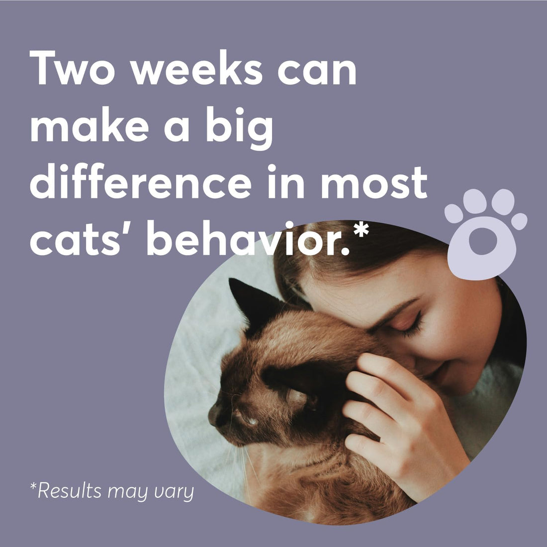 BUDDYJOY Cat Calming Diffuser Refills – Long-Lasting 30-Day Formula