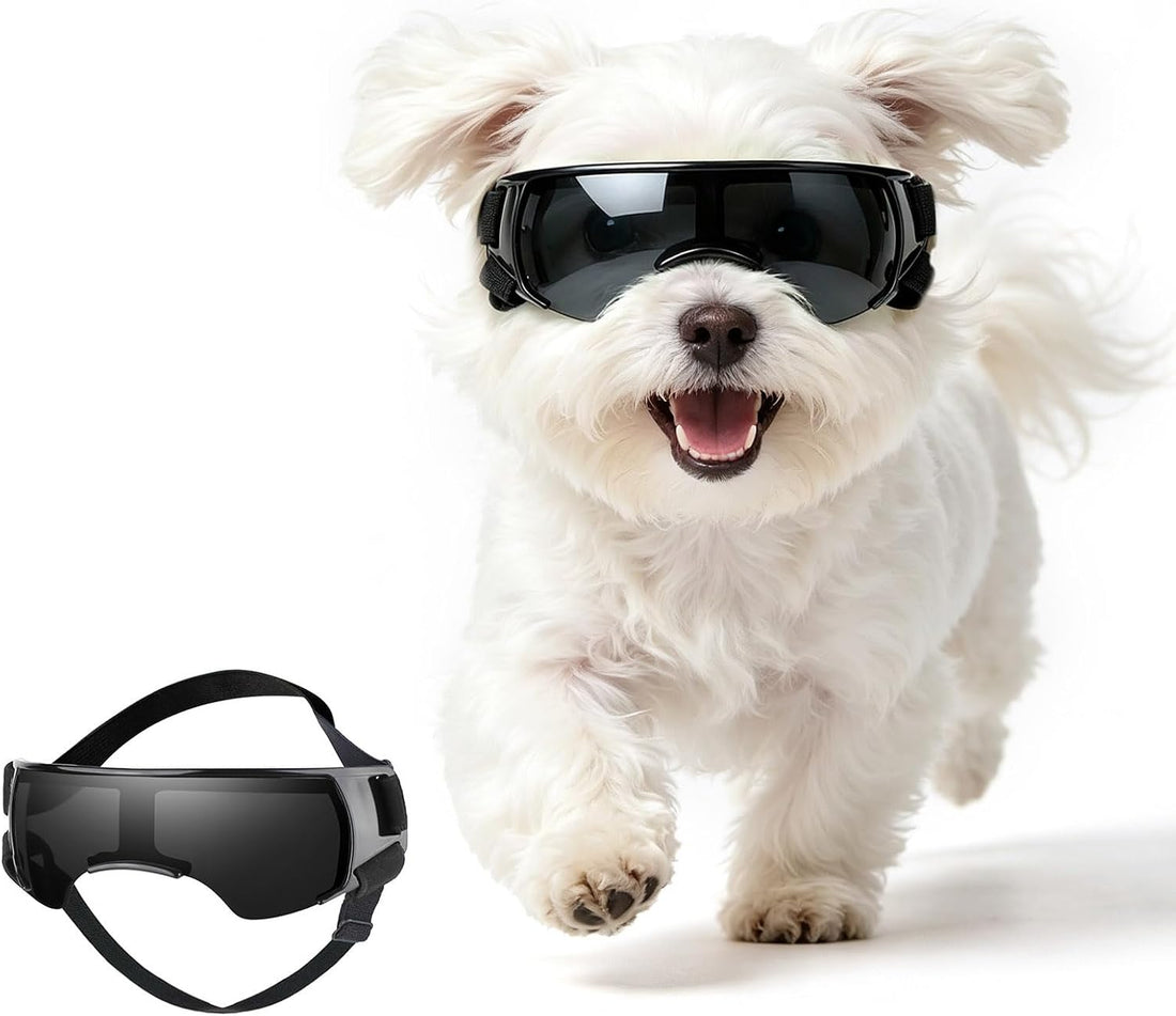 Dog Goggles for Small Breed Pet Sunglasses Eye Protection Anti-UV