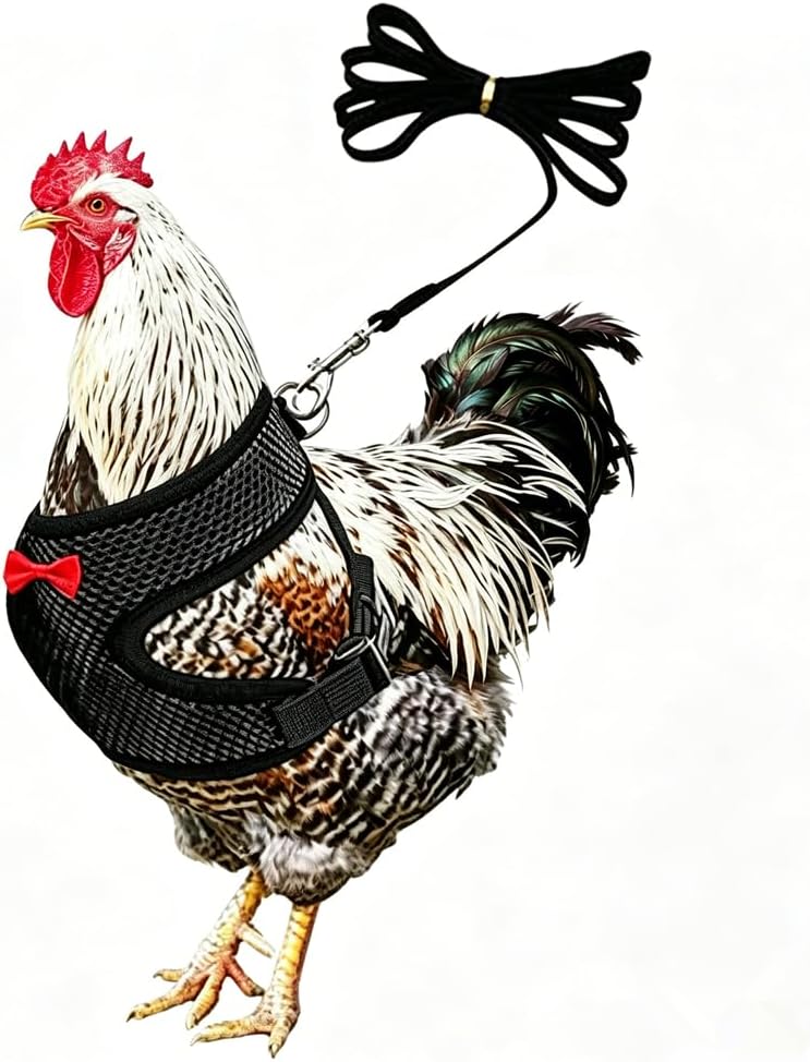 Adjustable Chicken Harness and Leash