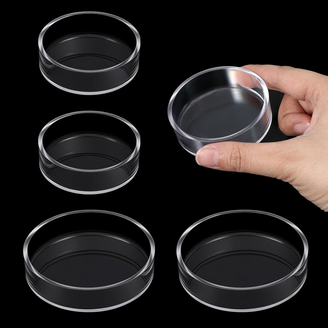 4 Pcs Shrimp Feeding Dish, Fish Tank Feeder 65mm and 85mm