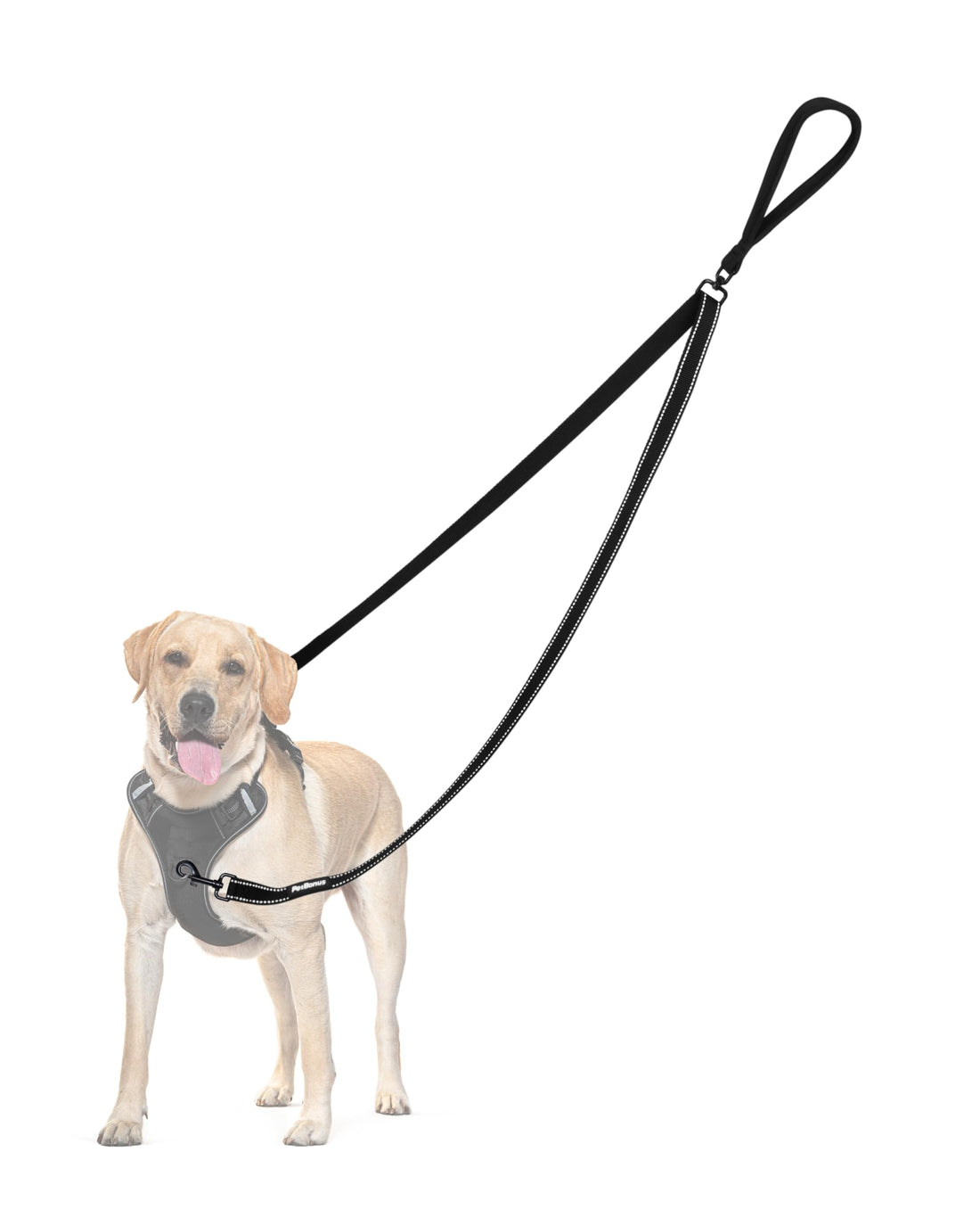 PetBonus Two Point Control Dog Leash, Works with No Pull Harnesses