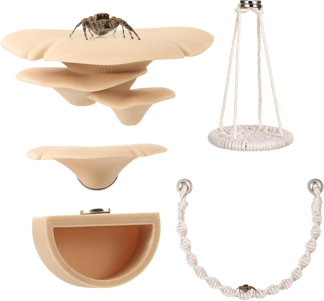 Jumping Spider Enclosure Accessories 5Pcs Cloud Magnetic Rope