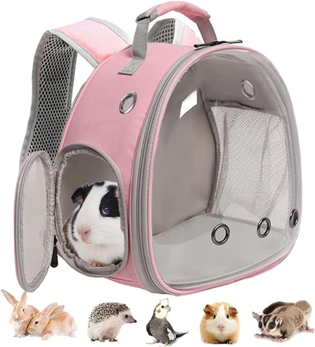Guinea Pig Carrier Backpack, Clear Bubble Window Backpack for Guinea