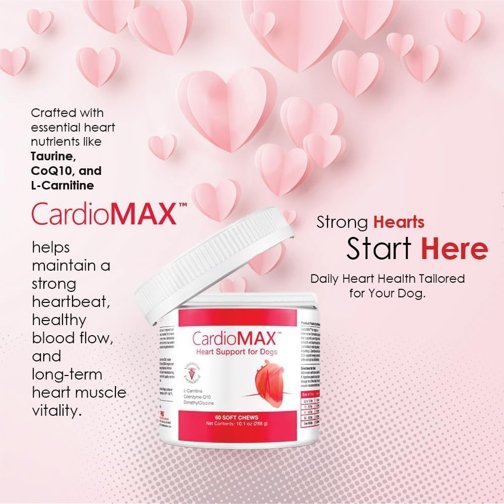 Heart Support Supplement for Dogs-Vet-Formulated