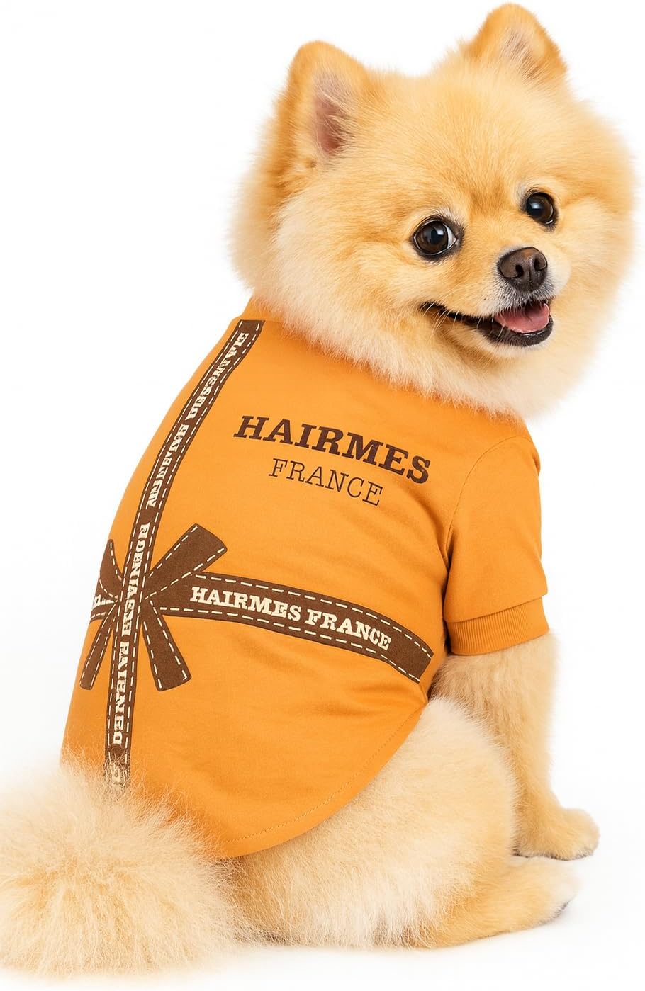 Luxury Designer Dog T Shirt – Trendy Puppy Clothes for Small Dogs