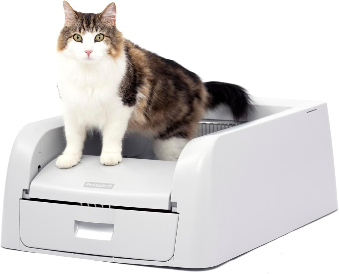 PetSafe ScoopFree Clumping Self-Cleaning Litter Box