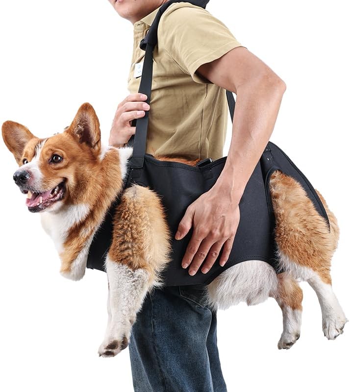 Full Body Lift Harness for Dogs,Canine Support Rehabilitation Dog