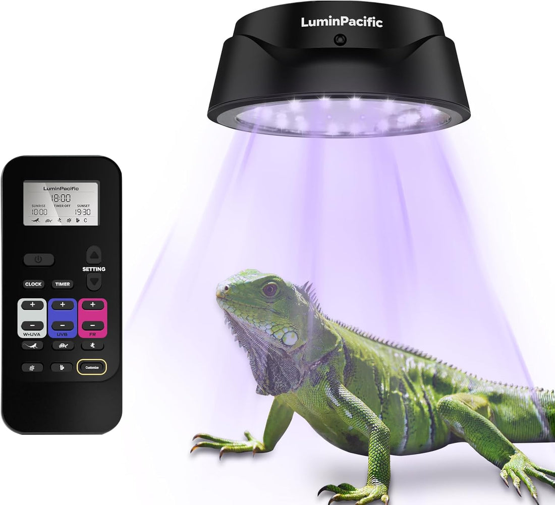 2 Pack UVB Reptile Lights with Remote, UVA UVB Light with Timer