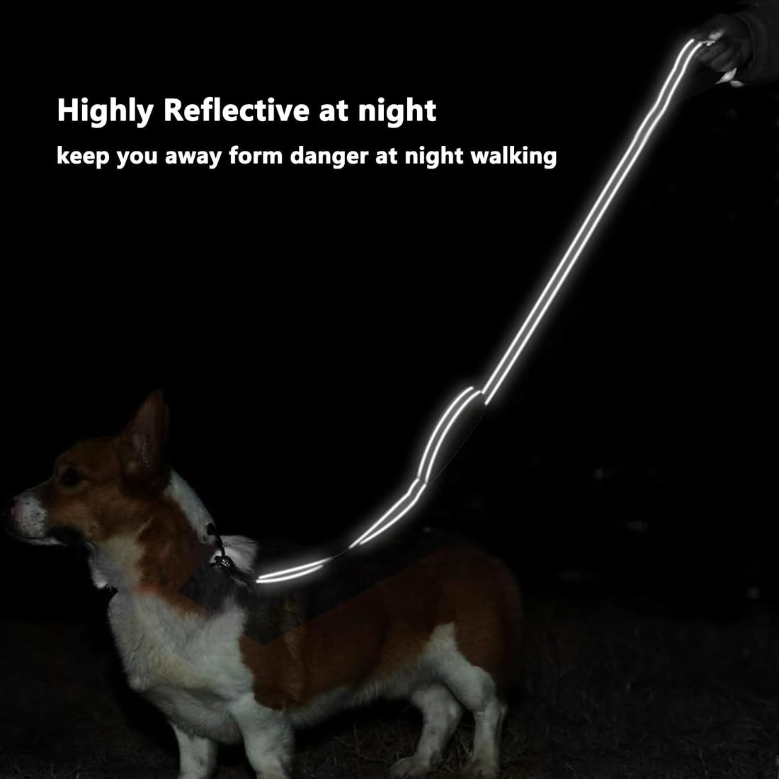 6 FT Black Nylon Reflective Dog Leash for Large Dogs with 2 Padded