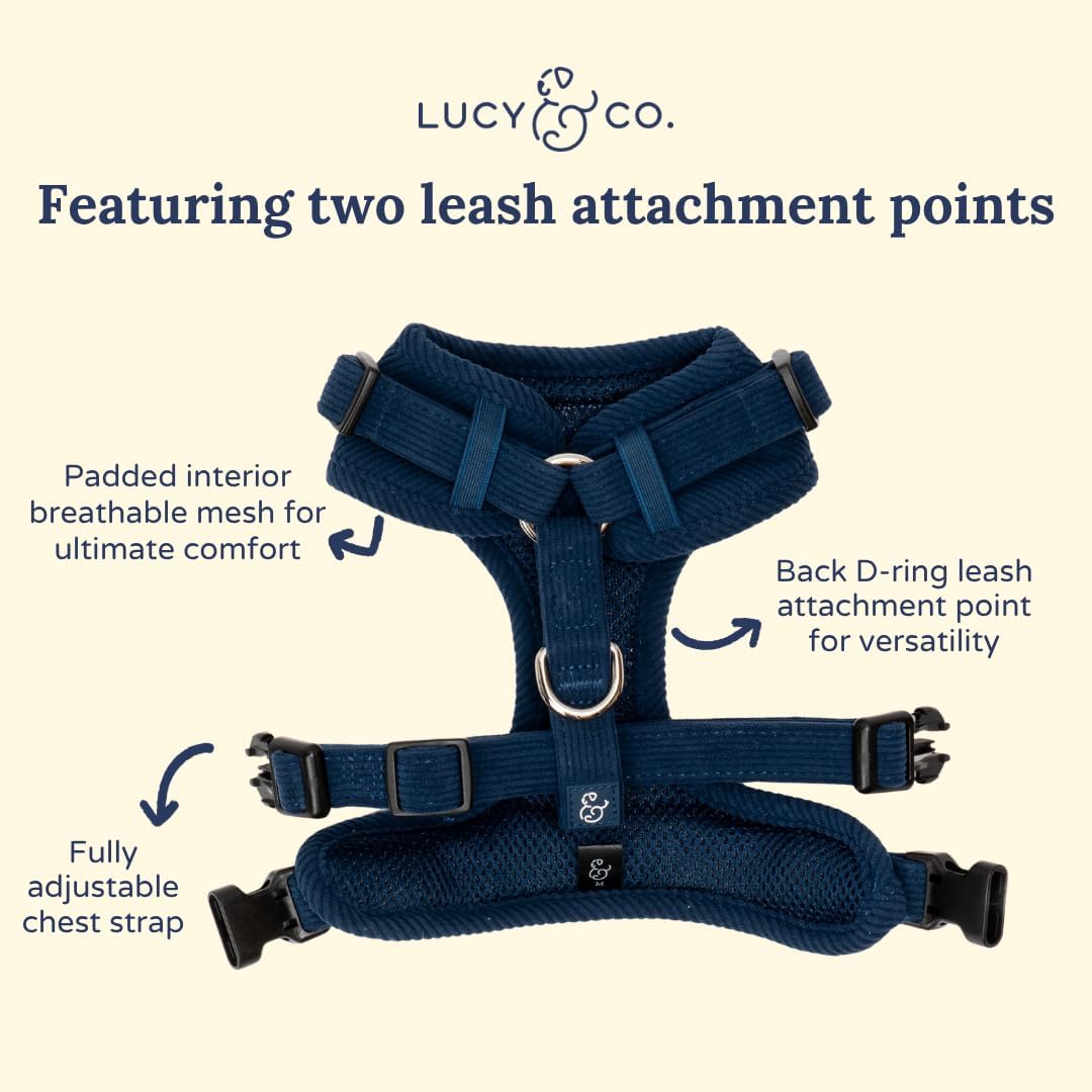 Lucy & Co. Appley Ever After Corduroy No-Pull Dog Harness, XL