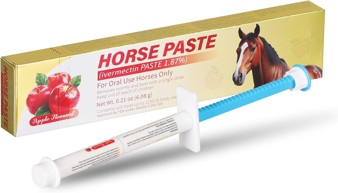 Equine Paste 1.87% | Apple Flavored – 6.08g Tube for Horses, 1-Pack