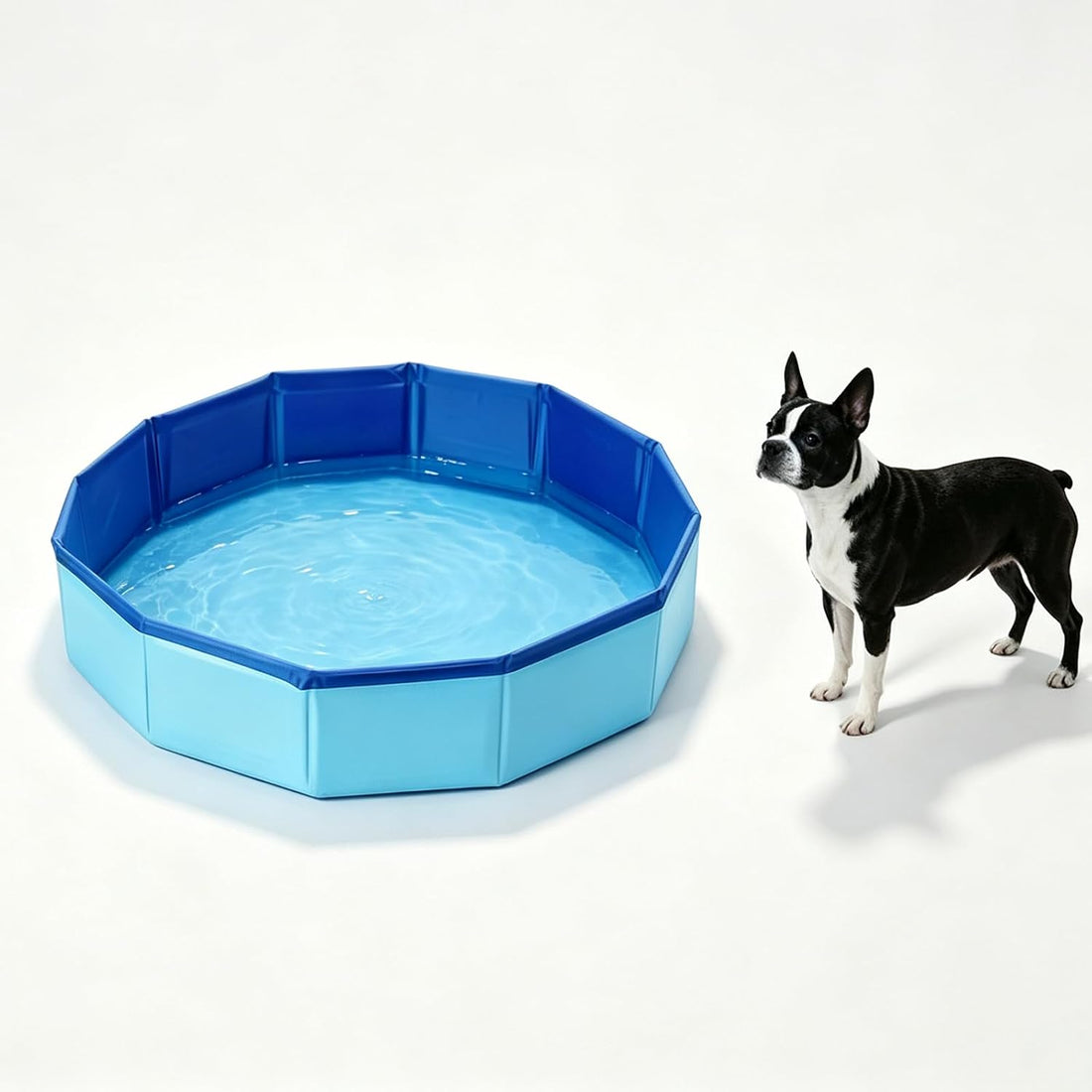 20" Portable Dog Bathtubs, Foldable Paddling Pool for Small Dogs