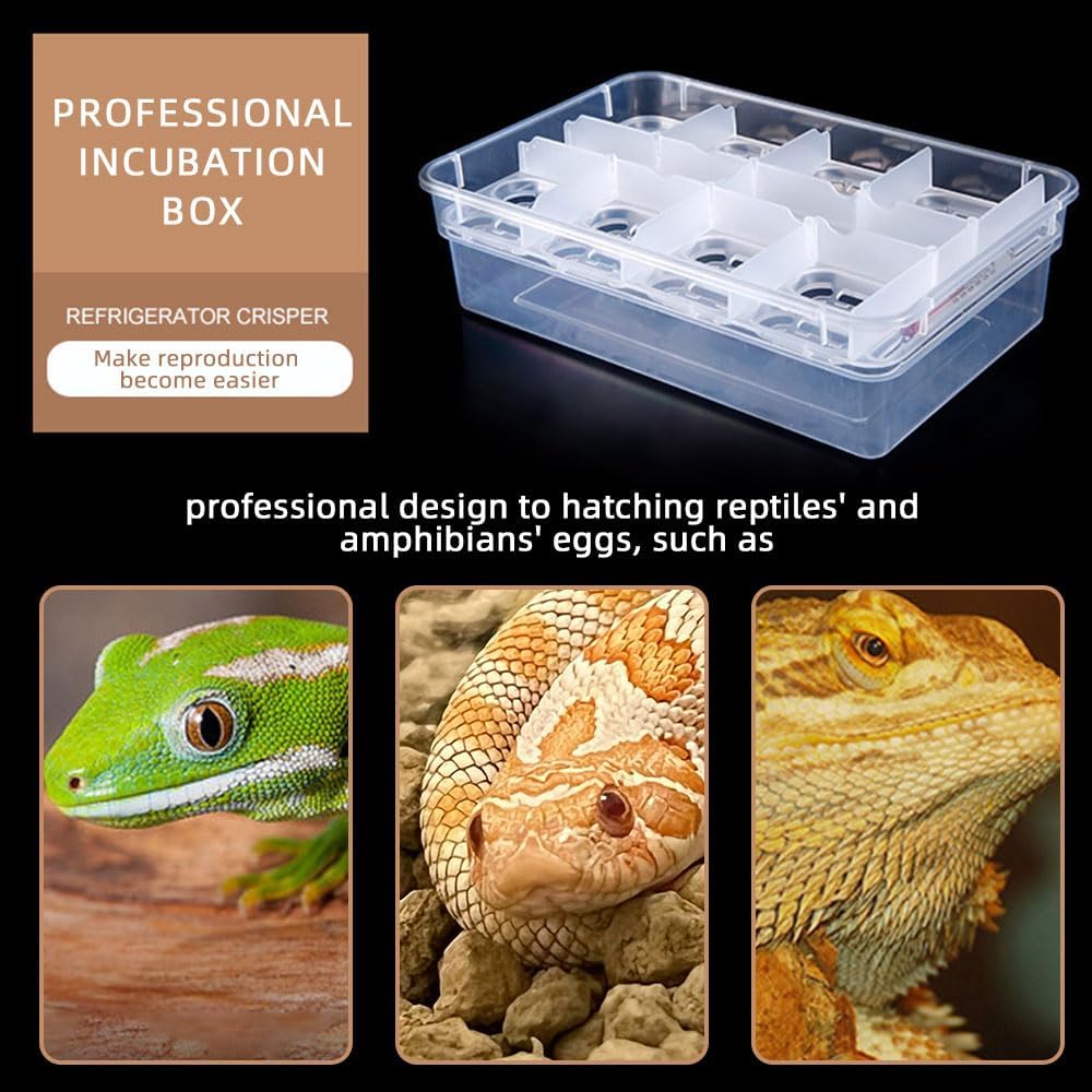 20 Grids Reptile Breeding Box