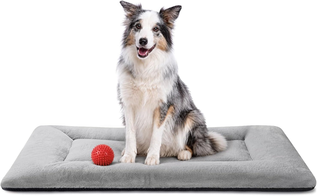 Dog Crate Pad, Washable Cozy Dog Bed Mat for Medium Dogs 36"x23", Gray