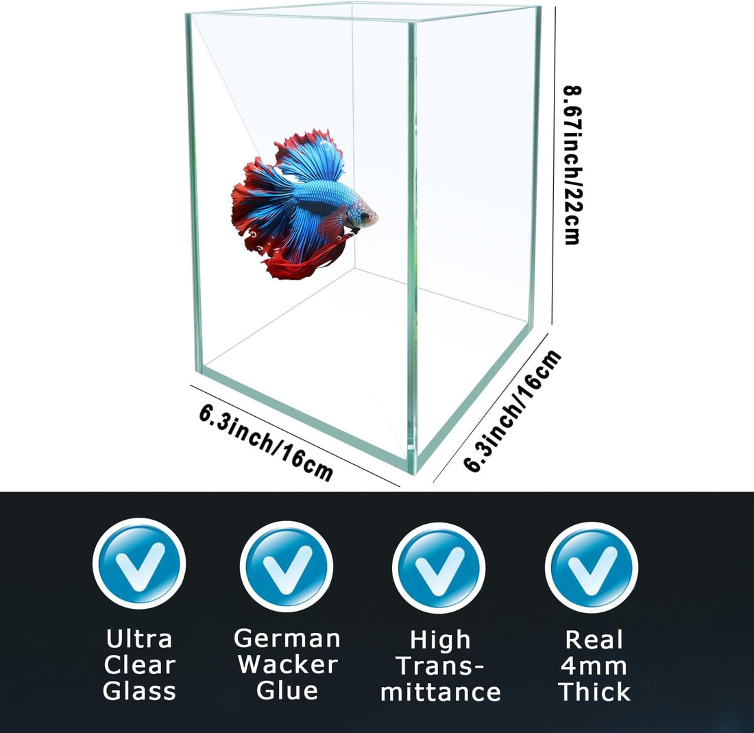 Ultra White Glass Aquarium Starter Kits 1.5 Gallon Small Fish Tank