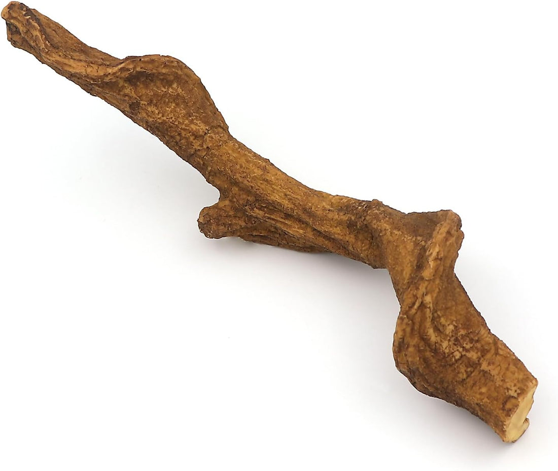 AQUA KT Reptile Bent Climber Terrarium Branch for Lizard Snake
