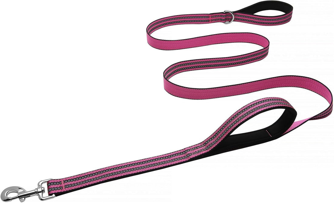 Hikiko 6FT Dog Leash with 2 Padded Handles Reflective