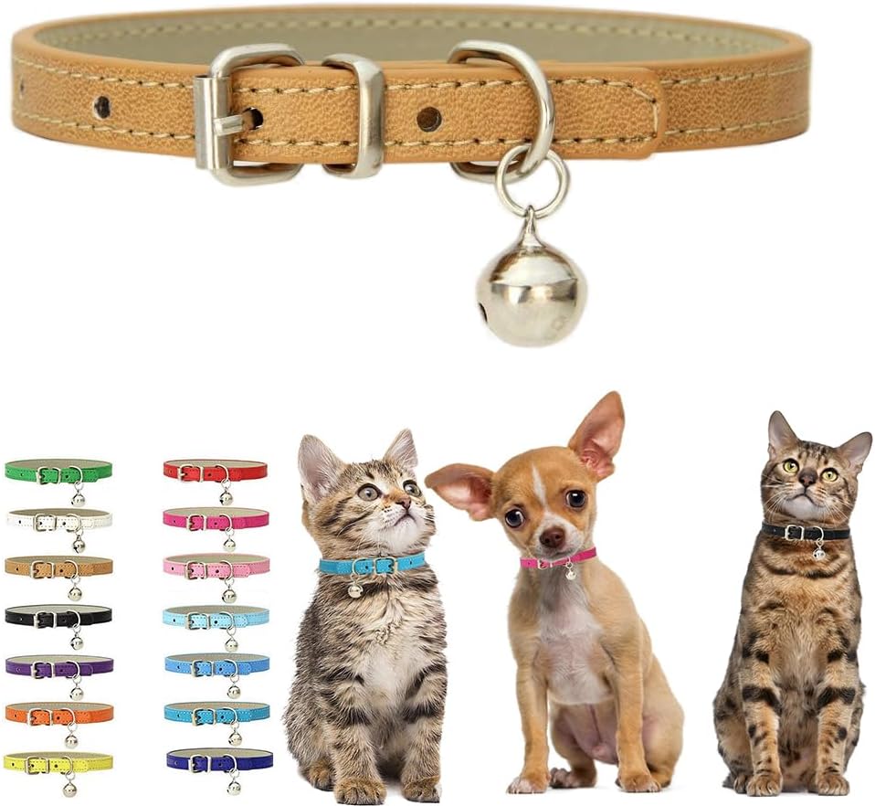 Hot Pink Kitten Collar with Bell