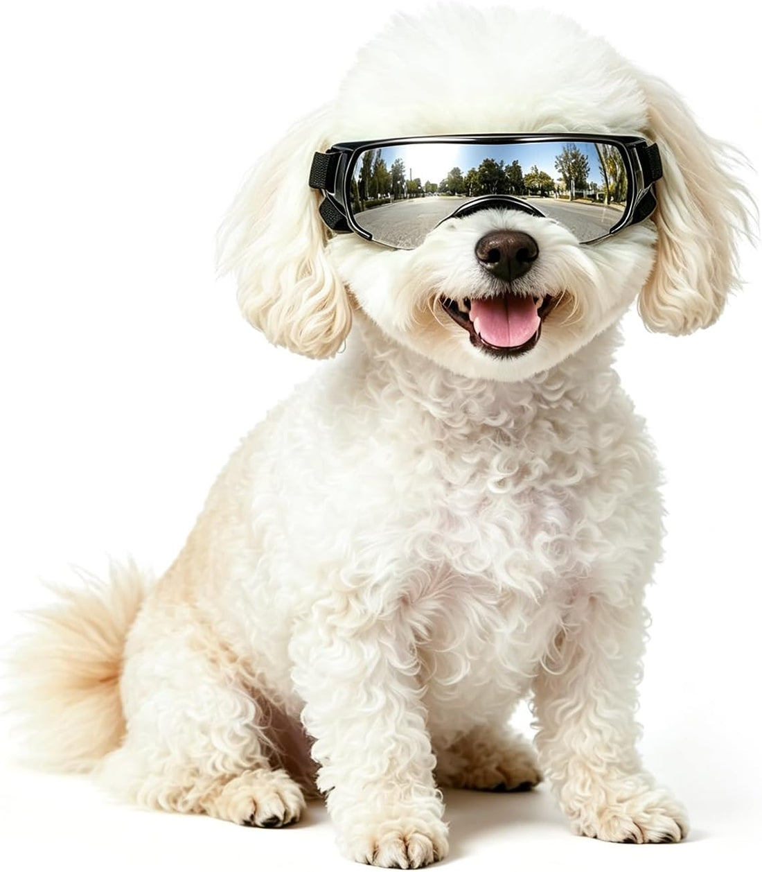 NAMSAN Clear Dog Goggles for Small Dogs