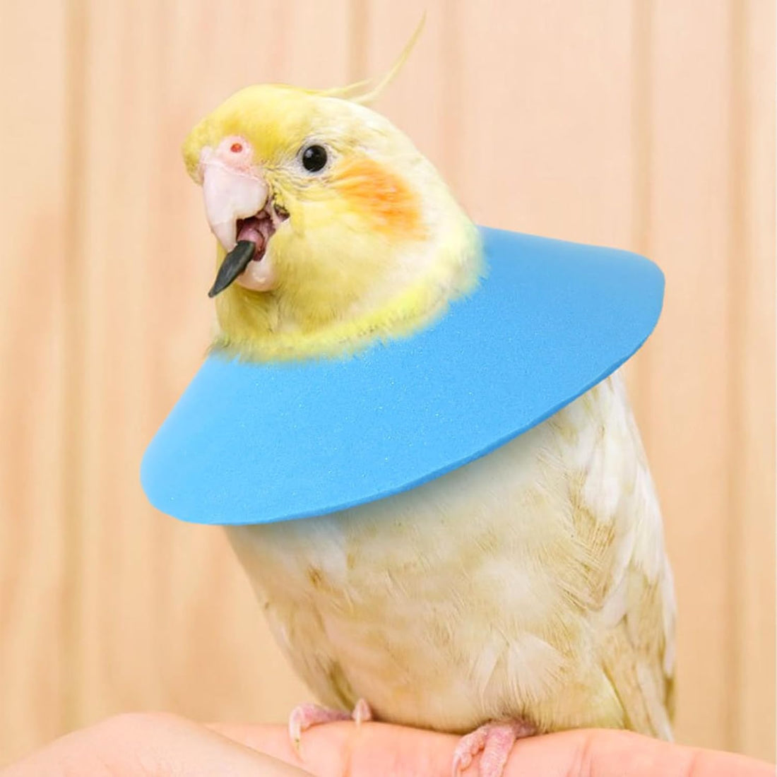 3 Pcs Adjustable Recovery Bird Cone Collar,Hamster Elizabeth Collar