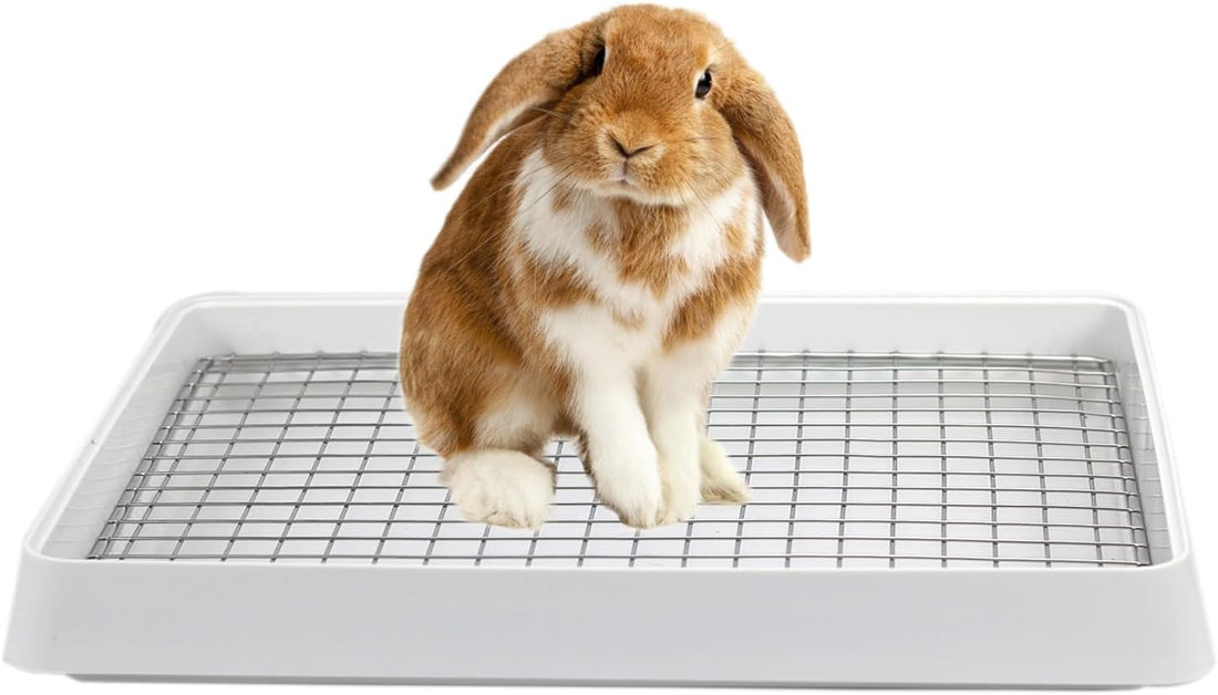 PODOO Rabbit Litter Box – Training Potty Tray for Guinea Pig & Small