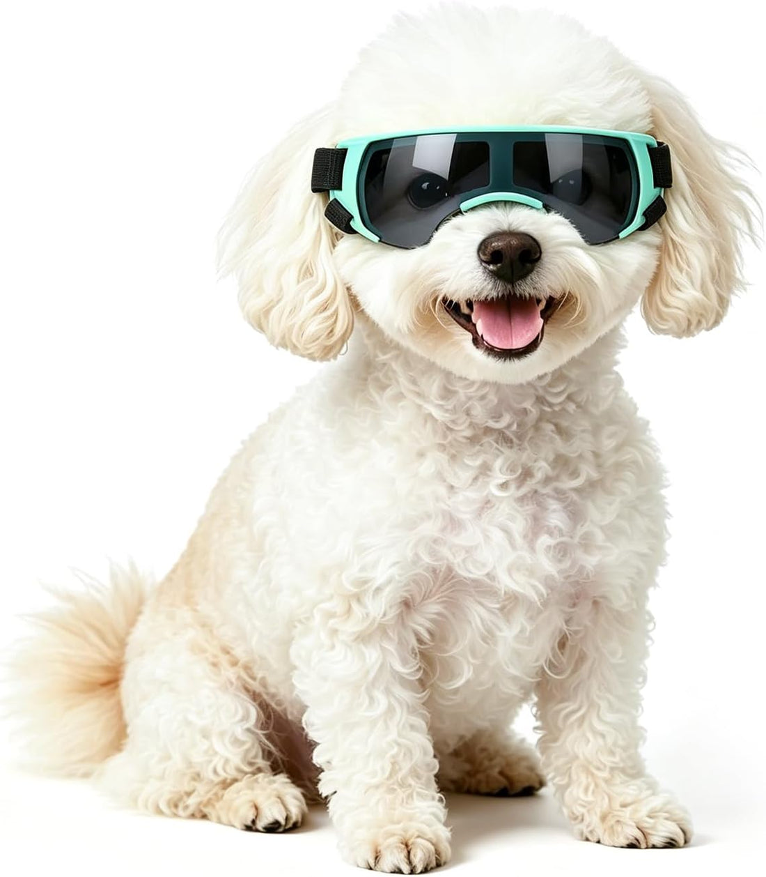 NAMSAN Clear Dog Goggles for Small Dogs