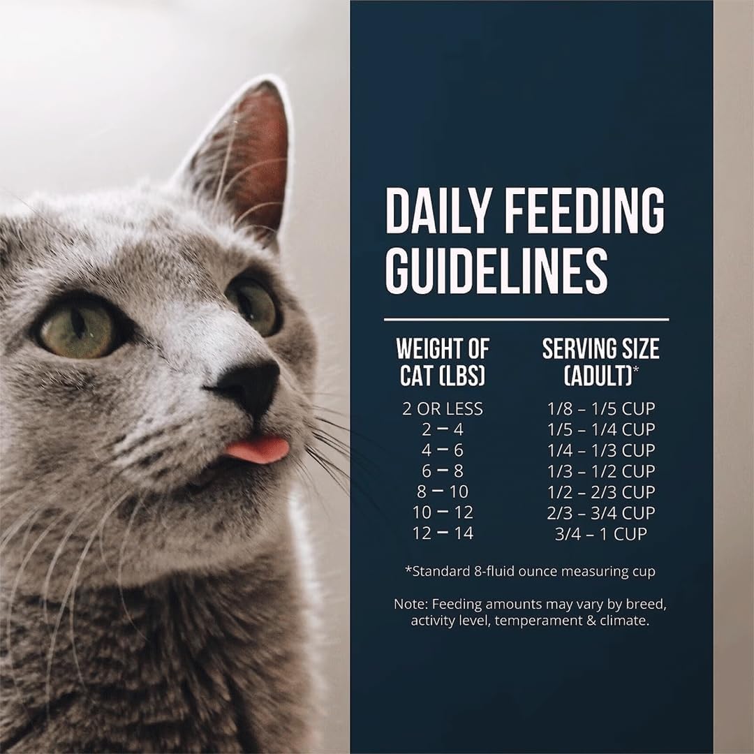 Fussie Cat Market Fresh Salmon Recipe,Dry Cat Food
