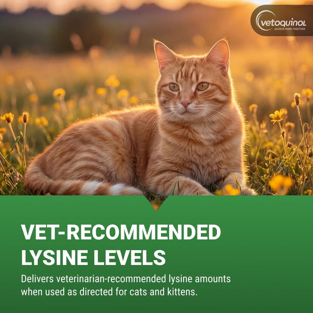 Vetoquinol Viralys Daily L-Lysine Gel for Cats and Kittens