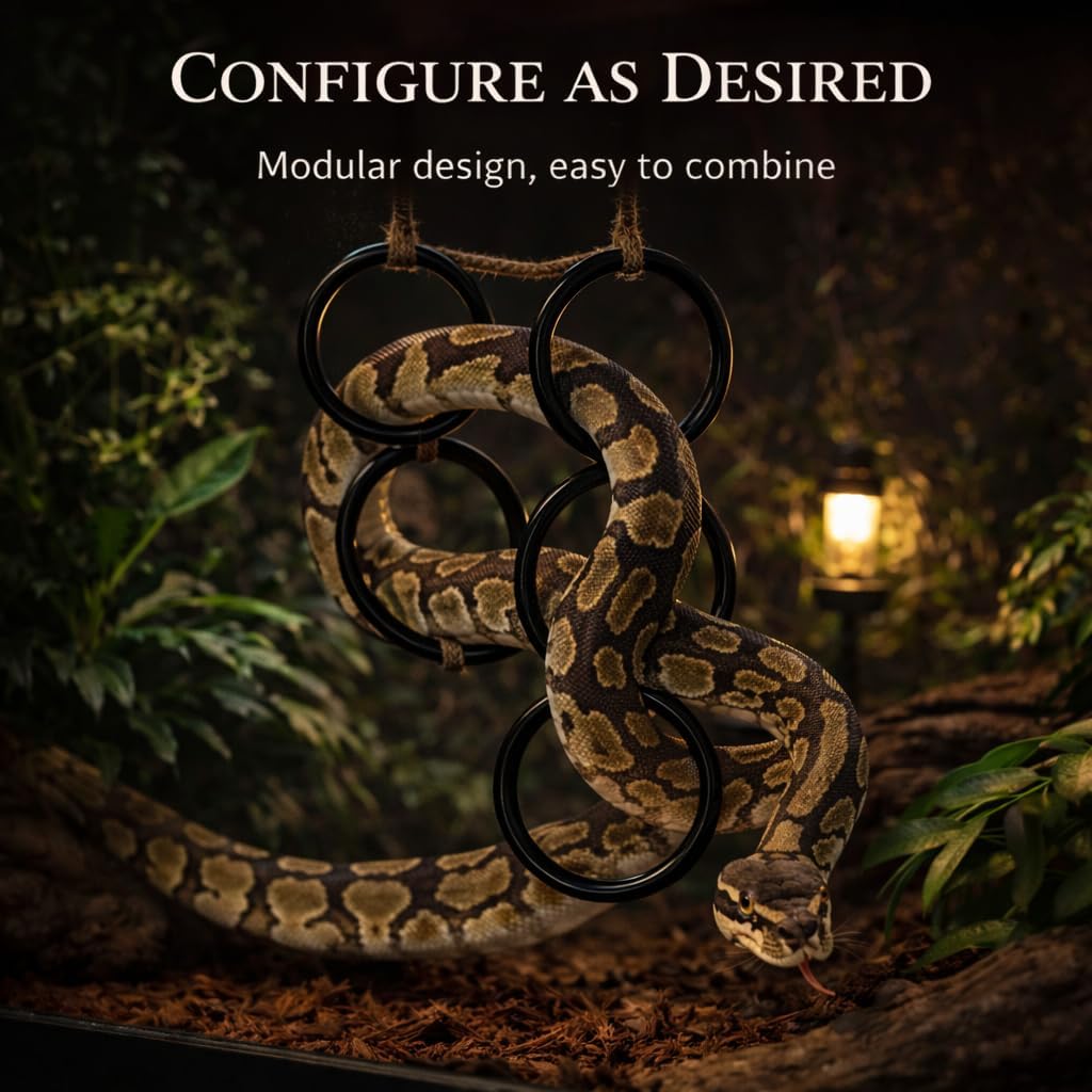 2PCS Snake Climbing Rings for Ball Python