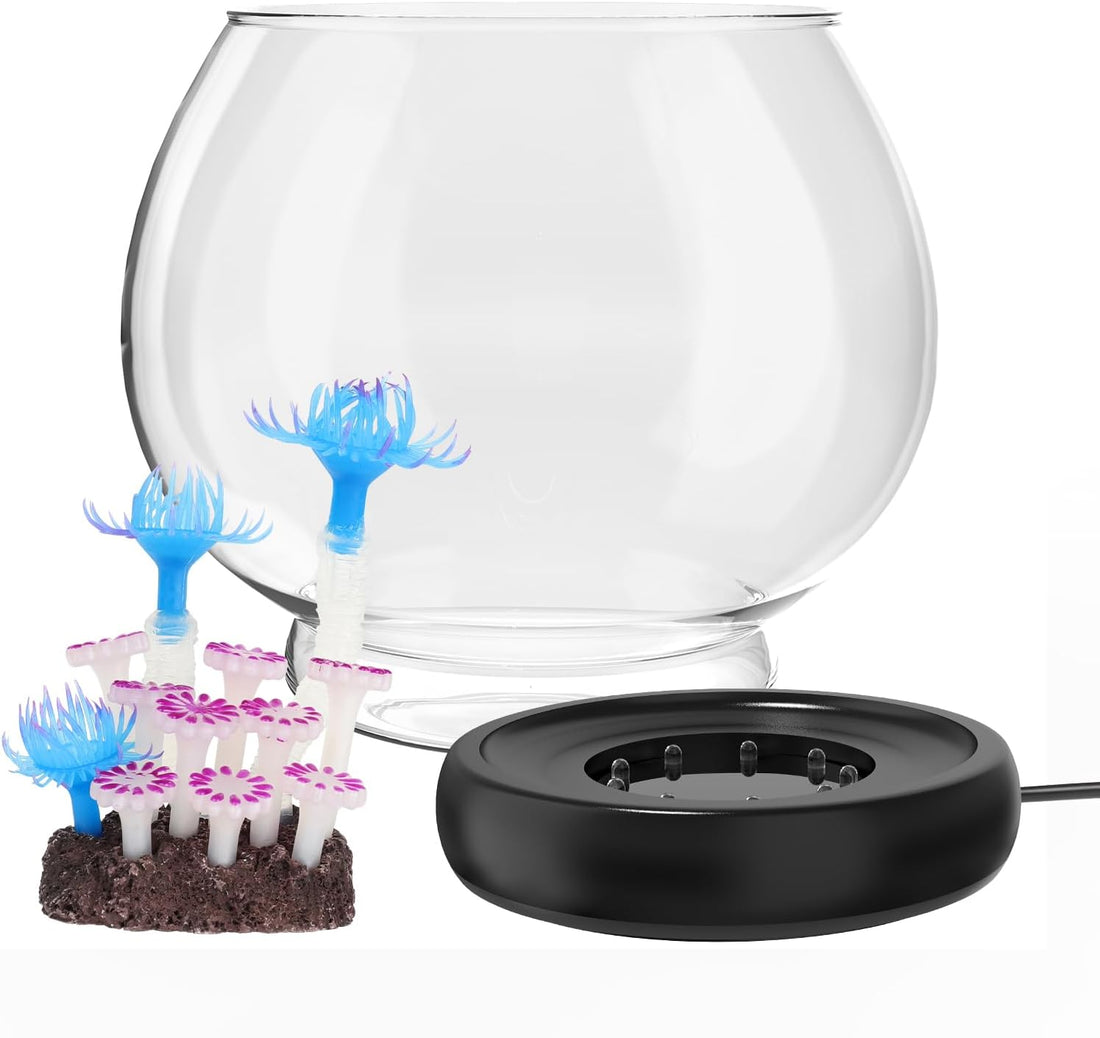 hygger 0.5 Gallon/1 Gallon Glass Fish Bowl with LED Light and Decor