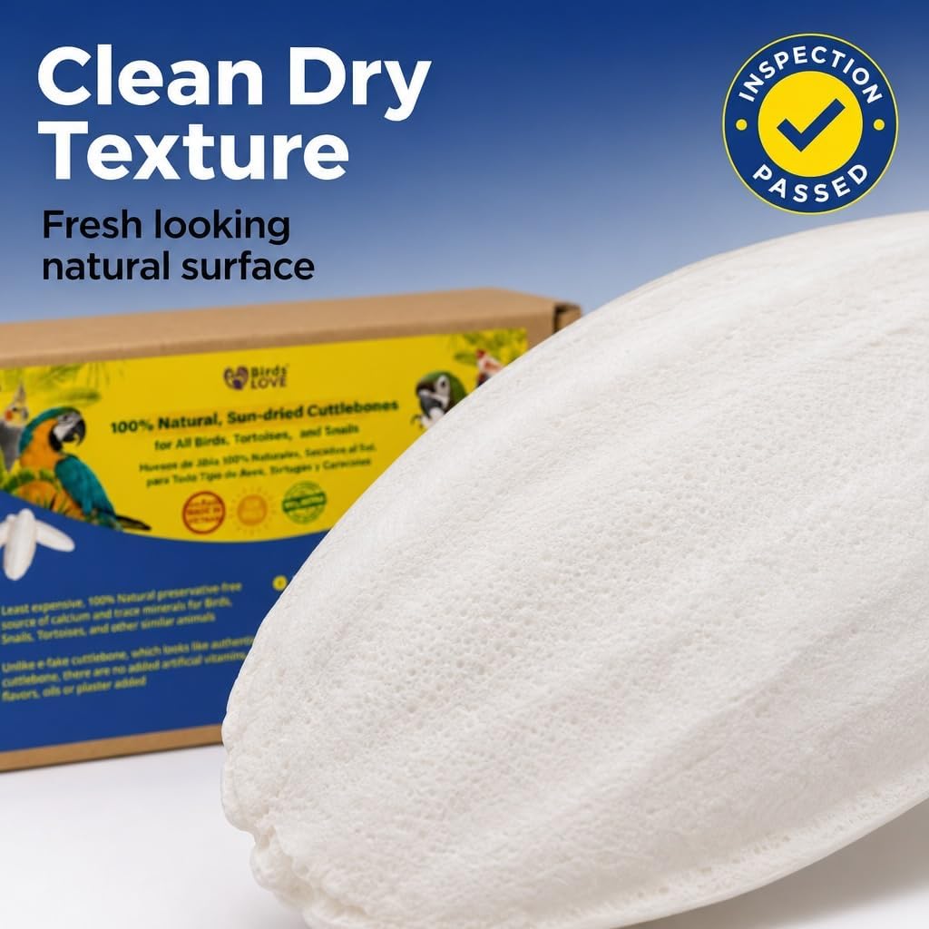Birds LOVE 3.5-4″ Cuttlebone for Birds